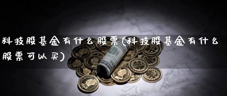 科技股基金有什么股票(科技股基金有什么股票可以买)_https://www.lfyiying.com_港股_第1张