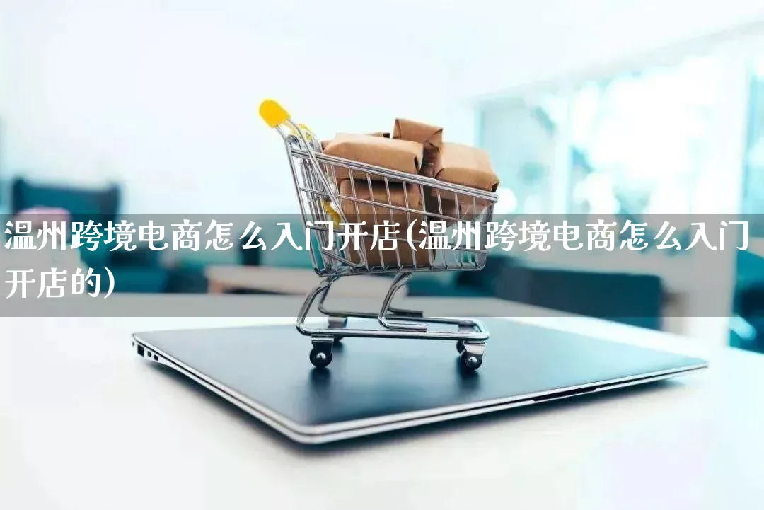 温州跨境电商怎么入门开店(温州跨境电商怎么入门开店的)_https://www.lfyiying.com_个股_第1张