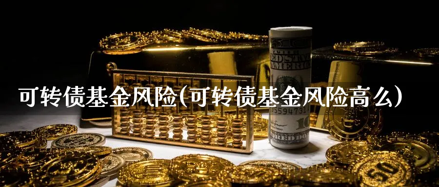 可转债基金风险(可转债基金风险高么)_https://www.lfyiying.com_股票分类_第1张