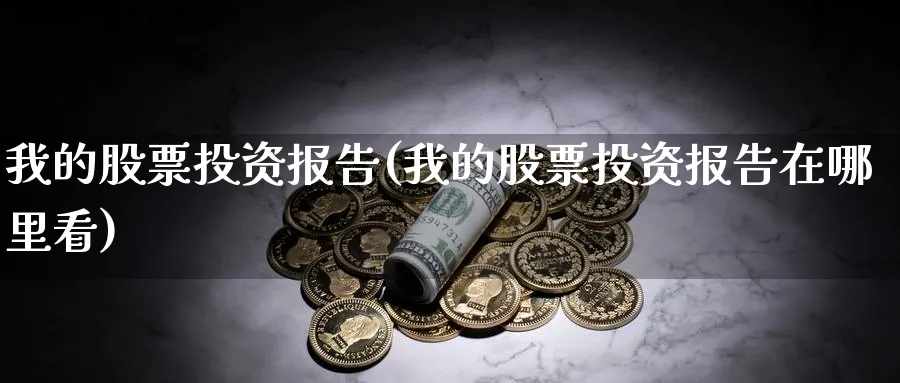 我的股票投资报告(我的股票投资报告在哪里看)_https://www.lfyiying.com_股票分类_第1张