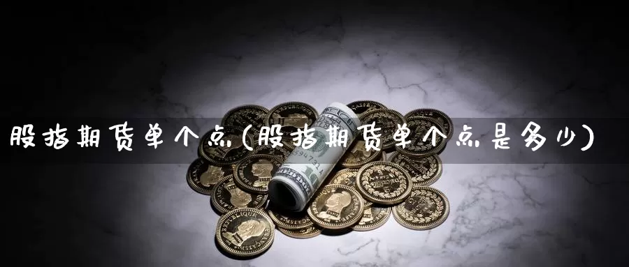 股指期货单个点(股指期货单个点是多少)_https://www.lfyiying.com_美股_第1张