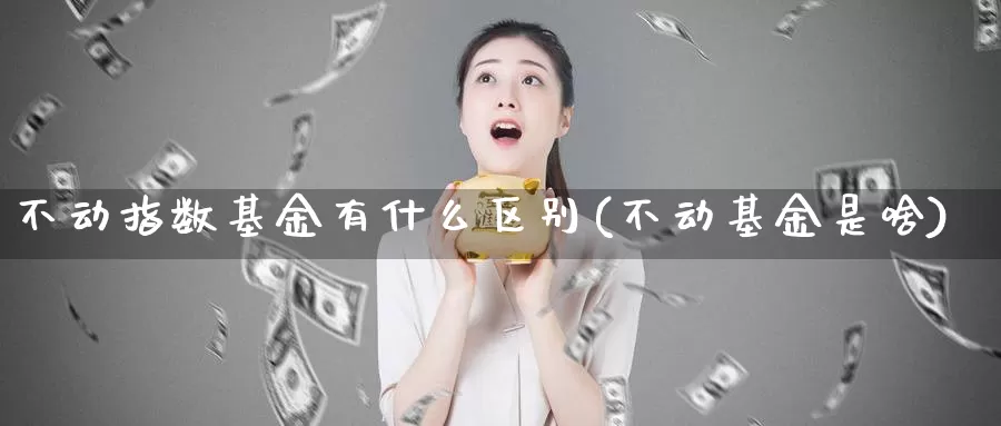 不动指数基金有什么区别(不动基金是啥)_https://www.lfyiying.com_股票分类_第1张