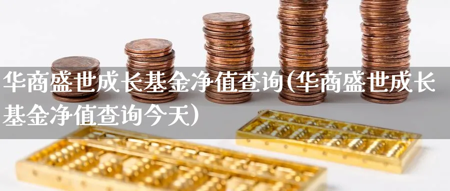 华商盛世成长基金净值查询(华商盛世成长基金净值查询今天)_https://www.lfyiying.com_股吧_第1张