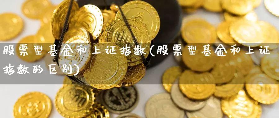 股票型基金和上证指数(股票型基金和上证指数的区别)_https://www.lfyiying.com_股票百科_第1张