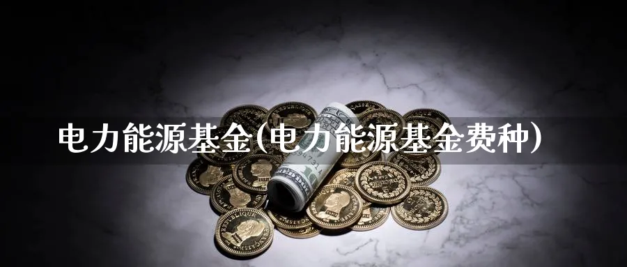 电力能源基金(电力能源基金费种)_https://www.lfyiying.com_股吧_第1张