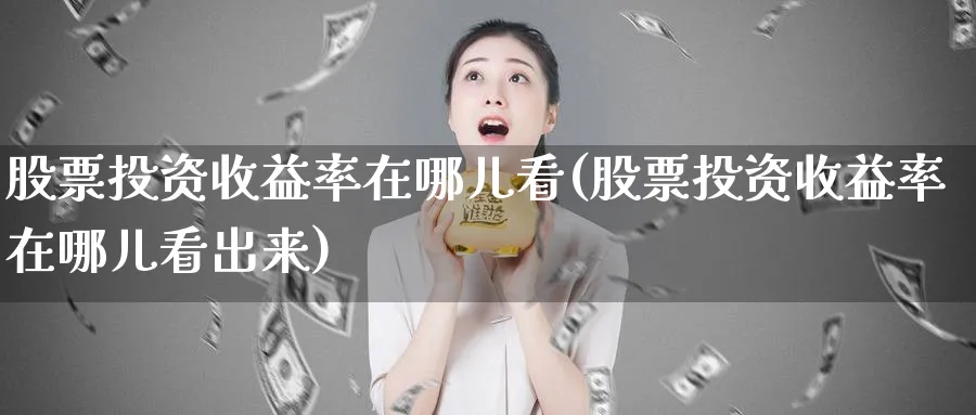 股票投资收益率在哪儿看(股票投资收益率在哪儿看出来)_https://www.lfyiying.com_股票分类_第1张