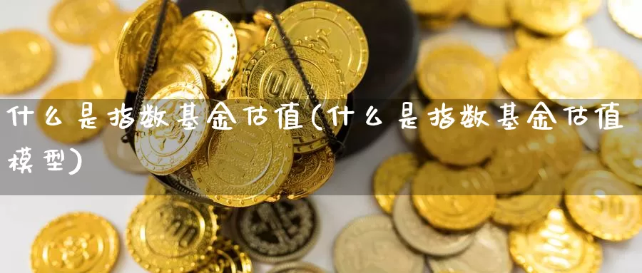 什么是指数基金估值(什么是指数基金估值模型)_https://www.lfyiying.com_股吧_第1张