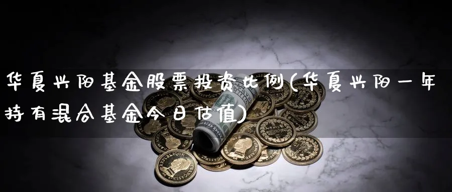 华夏兴阳基金股票投资比例(华夏兴阳一年持有混合基金今日估值)_https://www.lfyiying.com_股票分类_第1张