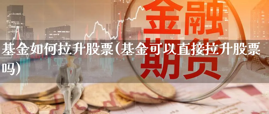 基金如何拉升股票(基金可以直接拉升股票吗)_https://www.lfyiying.com_股票百科_第1张