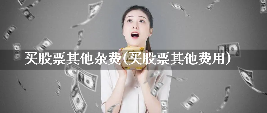 买股票其他杂费(买股票其他费用)_https://www.lfyiying.com_股票百科_第1张