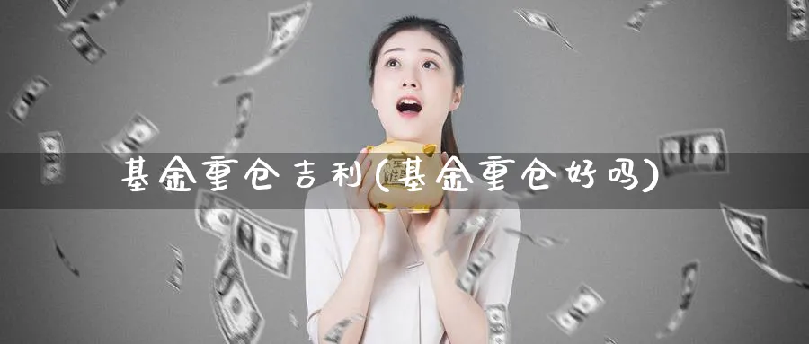 基金重仓吉利(基金重仓好吗)_https://www.lfyiying.com_股票百科_第1张