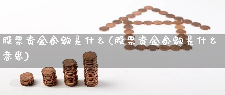 股票资金余额是什么(股票资金余额是什么意思)_https://www.lfyiying.com_股吧_第1张