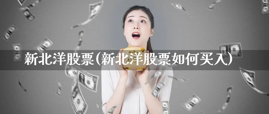 新北洋股票(新北洋股票如何买入)_https://www.lfyiying.com_美股_第1张