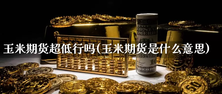 玉米期货超低行吗(玉米期货是什么意思)_https://www.lfyiying.com_证券_第1张