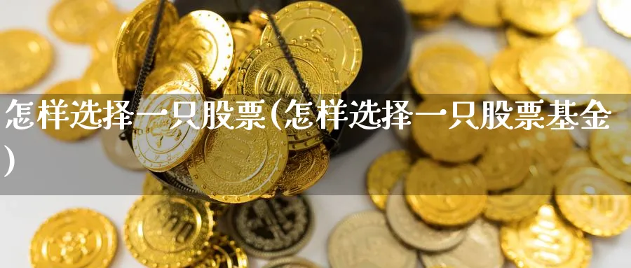 怎样选择一只股票(怎样选择一只股票基金)_https://www.lfyiying.com_港股_第1张