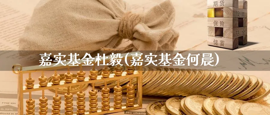 嘉实基金杜毅(嘉实基金何晨)_https://www.lfyiying.com_港股_第1张