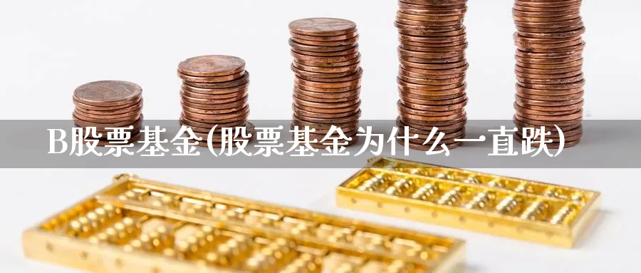 B股票基金(股票基金为什么一直跌)_https://www.lfyiying.com_股票百科_第1张