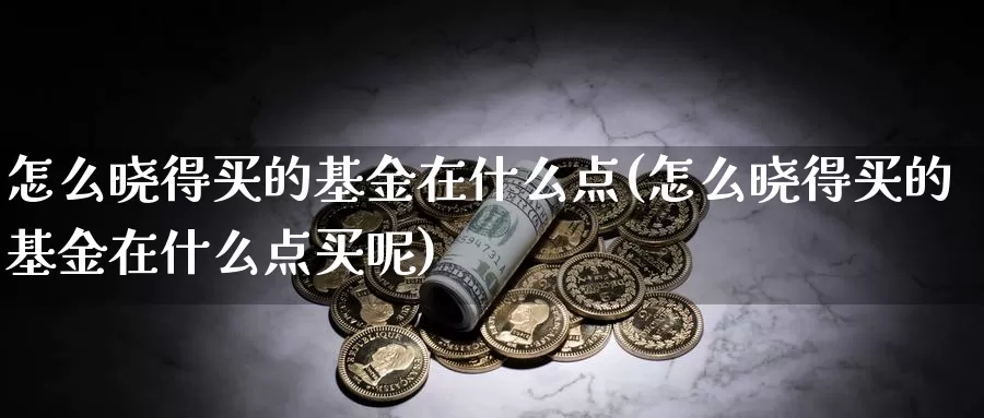 怎么晓得买的基金在什么点(怎么晓得买的基金在什么点买呢)_https://www.lfyiying.com_股吧_第1张