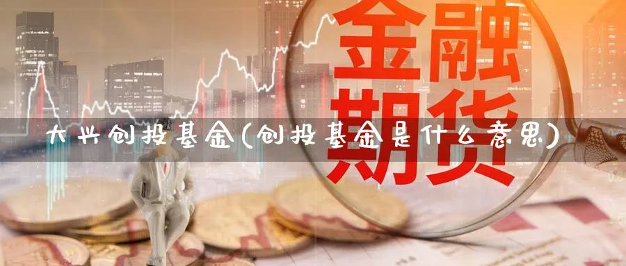 大兴创投基金(创投基金是什么意思)_https://www.lfyiying.com_证券_第1张