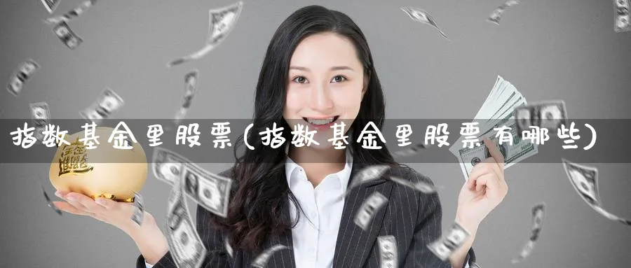 指数基金里股票(指数基金里股票有哪些)_https://www.lfyiying.com_股吧_第1张