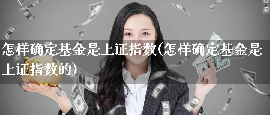 怎样确定基金是上证指数(怎样确定基金是上证指数的)_https://www.lfyiying.com_美股_第1张