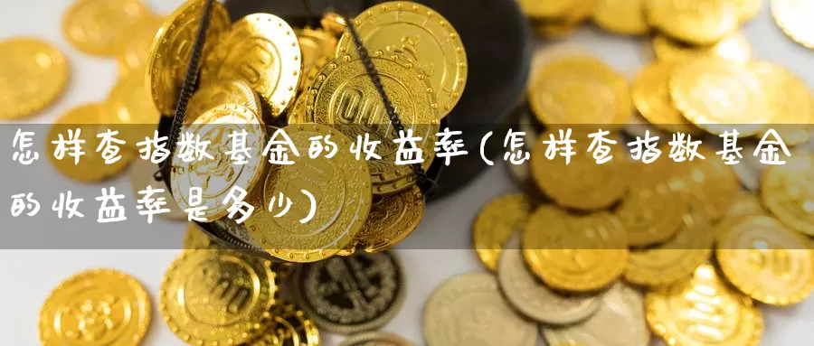 怎样查指数基金的收益率(怎样查指数基金的收益率是多少)_https://www.lfyiying.com_美股_第1张