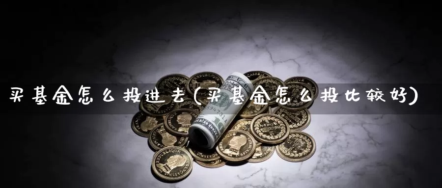 买基金怎么投进去(买基金怎么投比较好)_https://www.lfyiying.com_个股_第1张