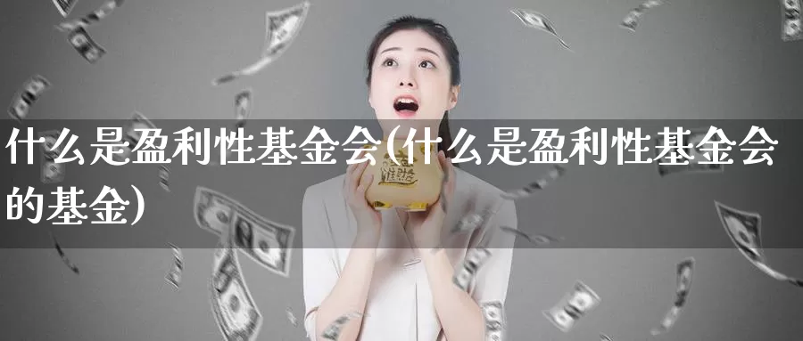 什么是盈利性基金会(什么是盈利性基金会的基金)_https://www.lfyiying.com_个股_第1张