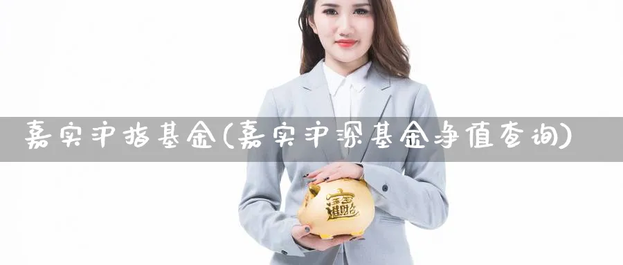 嘉实沪指基金(嘉实沪深基金净值查询)_https://www.lfyiying.com_个股_第1张