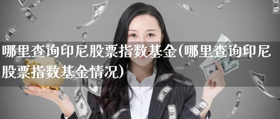 哪里查询印尼股票指数基金(哪里查询印尼股票指数基金情况)_https://www.lfyiying.com_港股_第1张