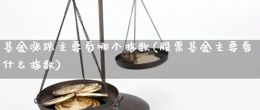 基金涨跌主要看哪个指数(股票基金主要看什么指数)_https://www.lfyiying.com_股票百科_第1张