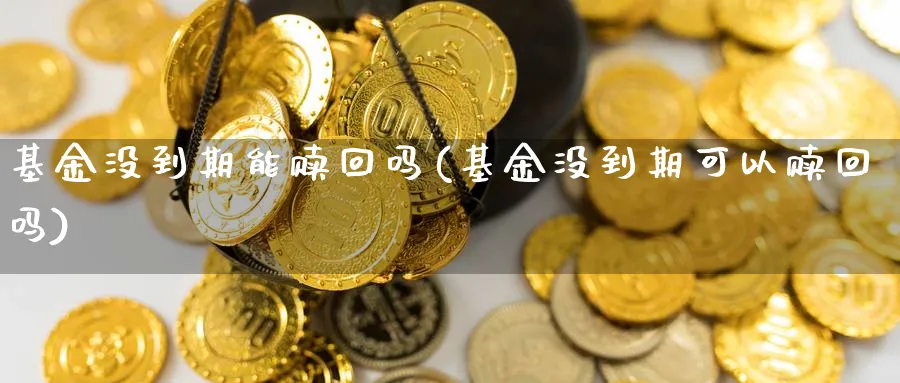 基金没到期能赎回吗(基金没到期可以赎回吗)_https://www.lfyiying.com_个股_第1张