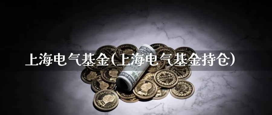 上海电气基金(上海电气基金持仓)_https://www.lfyiying.com_股票百科_第1张