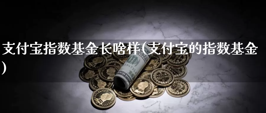 支付宝指数基金长啥样(支付宝的指数基金)_https://www.lfyiying.com_美股_第1张