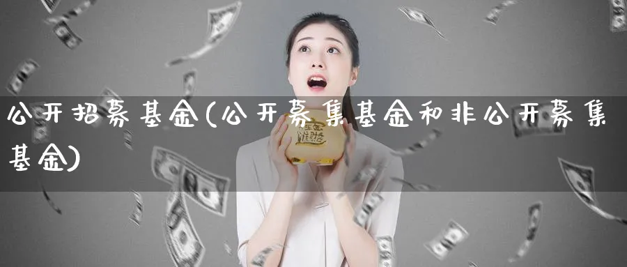 公开招募基金(公开募集基金和非公开募集基金)_https://www.lfyiying.com_个股_第1张