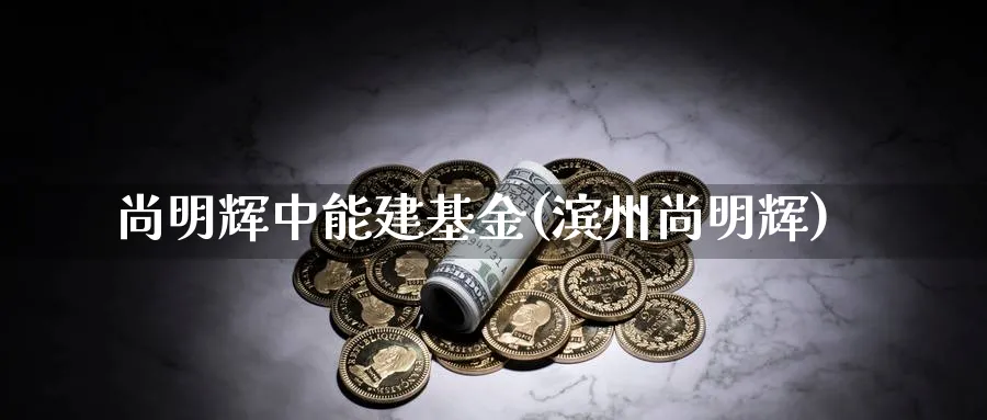 尚明辉中能建基金(滨州尚明辉)_https://www.lfyiying.com_证券_第1张