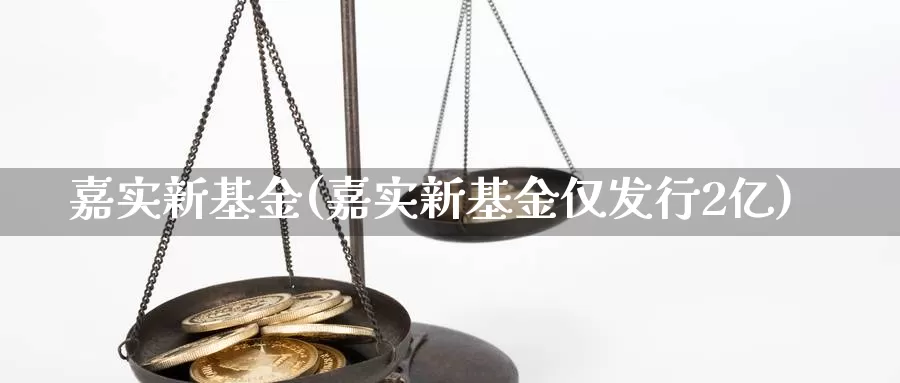 嘉实新基金(嘉实新基金仅发行2亿)_https://www.lfyiying.com_港股_第1张