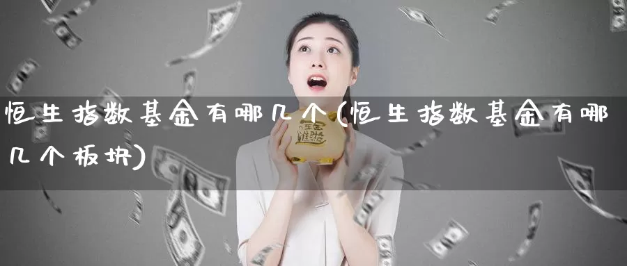 恒生指数基金有哪几个(恒生指数基金有哪几个板块)_https://www.lfyiying.com_个股_第1张