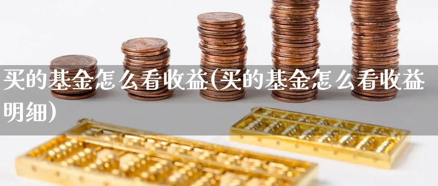 买的基金怎么看收益(买的基金怎么看收益明细)_https://www.lfyiying.com_港股_第1张