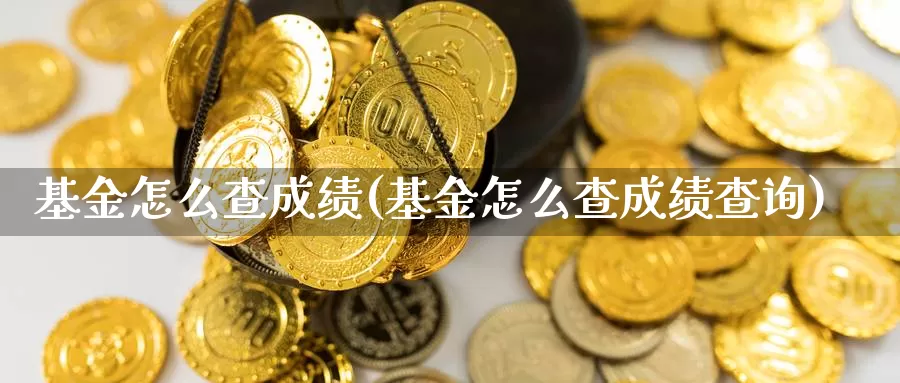 基金怎么查成绩(基金怎么查成绩查询)_https://www.lfyiying.com_股票百科_第1张