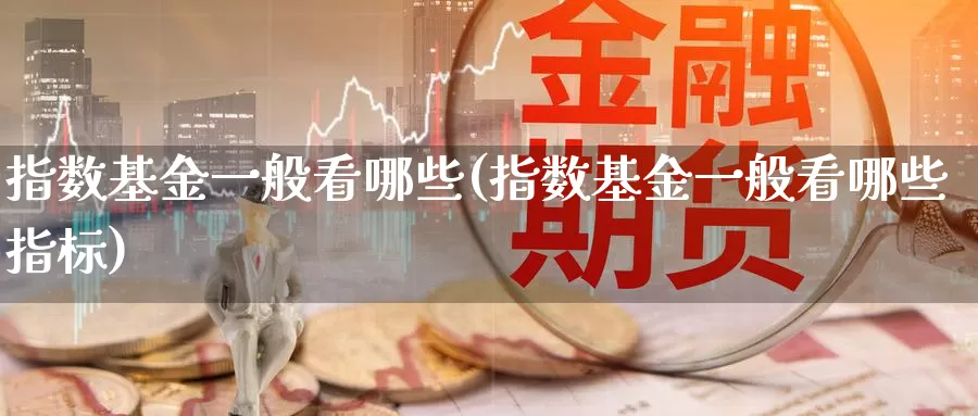 指数基金一般看哪些(指数基金一般看哪些指标)_https://www.lfyiying.com_股票分类_第1张