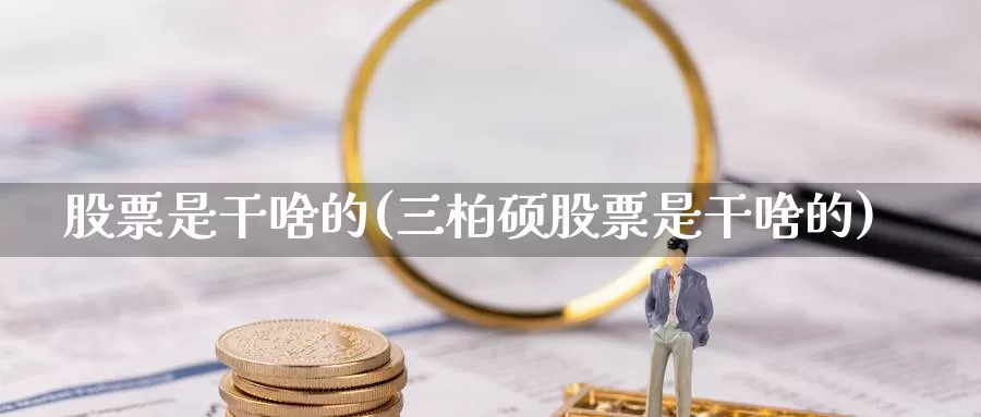 股票是干啥的(三柏硕股票是干啥的)_https://www.lfyiying.com_港股_第1张