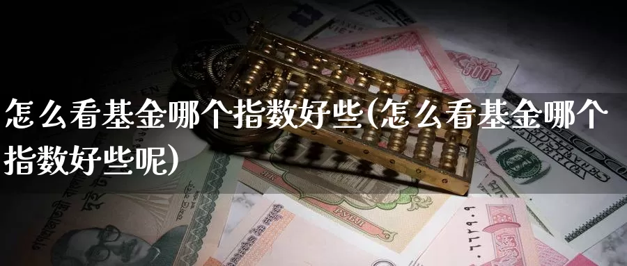 怎么看基金哪个指数好些(怎么看基金哪个指数好些呢)_https://www.lfyiying.com_证券_第1张