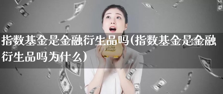 指数基金是金融衍生品吗(指数基金是金融衍生品吗为什么)_https://www.lfyiying.com_股票百科_第1张