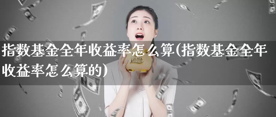 指数基金全年收益率怎么算(指数基金全年收益率怎么算的)_https://www.lfyiying.com_股吧_第1张