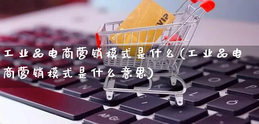 工业品电商营销模式是什么(工业品电商营销模式是什么意思)_https://www.lfyiying.com_个股_第1张