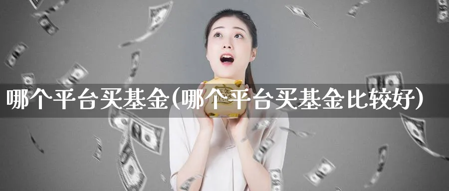 哪个平台买基金(哪个平台买基金比较好)_https://www.lfyiying.com_个股_第1张