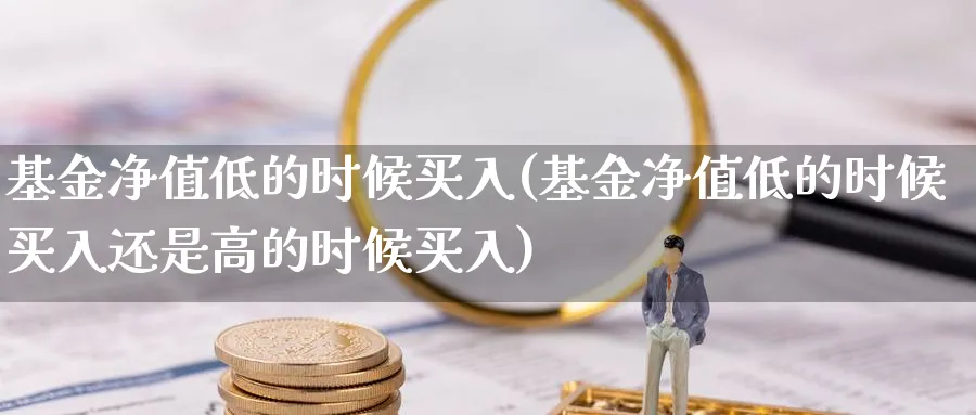 基金净值低的时候买入(基金净值低的时候买入还是高的时候买入)_https://www.lfyiying.com_美股_第1张