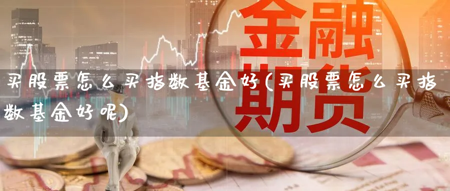 买股票怎么买指数基金好(买股票怎么买指数基金好呢)_https://www.lfyiying.com_股票百科_第1张