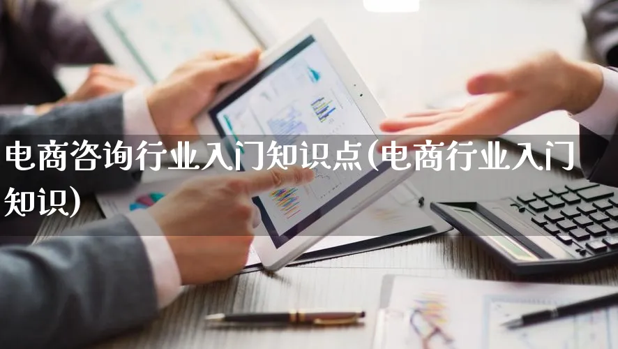 电商咨询行业入门知识点(电商行业入门知识)_https://www.lfyiying.com_证券_第1张